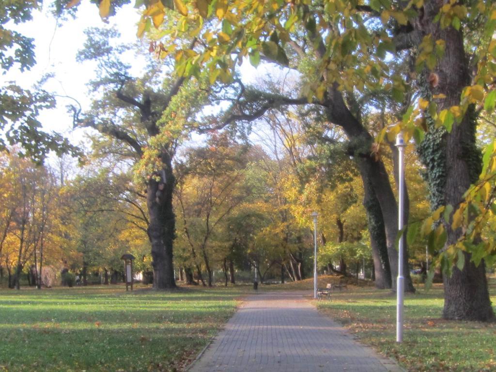 Csigahaz Panzio Otel Gyula Oda fotoğraf