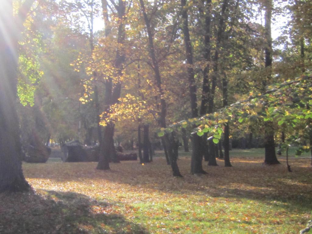 Csigahaz Panzio Otel Gyula Oda fotoğraf