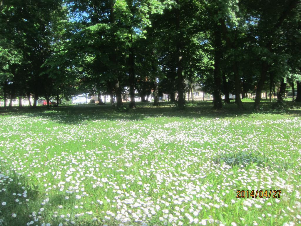 Csigahaz Panzio Otel Gyula Oda fotoğraf