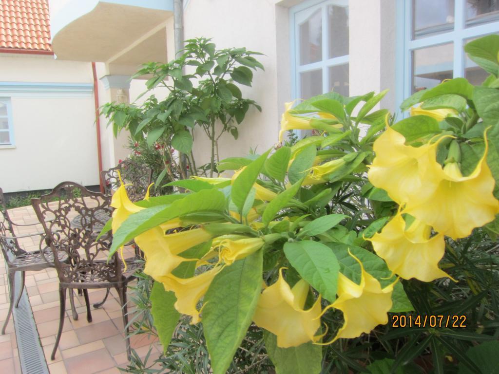 Csigahaz Panzio Otel Gyula Oda fotoğraf